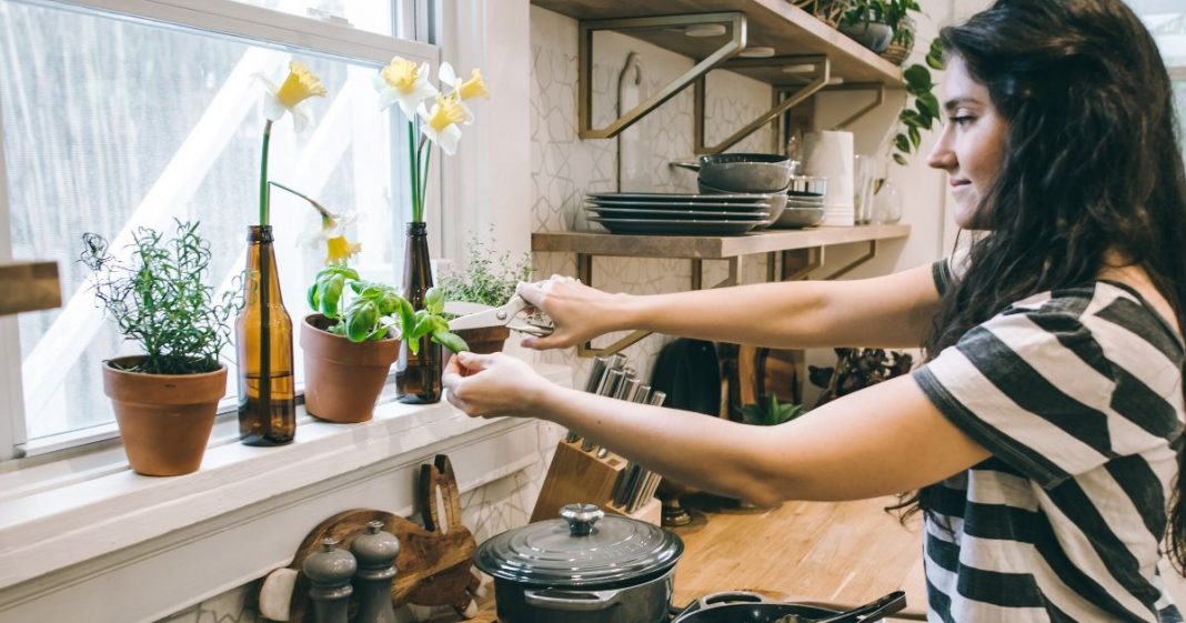 10 Alimentos que você pode replantar em casa, ganhando saúde e economia