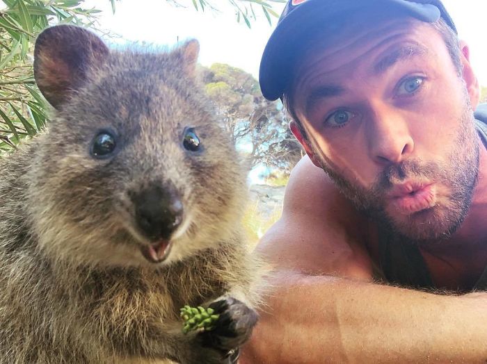 Celebridades fazem doações generosas para ajudar os bombeiros australianos ideiasnutritivas.com - Celebridades fazem doações generosas para ajudar os bombeiros australianos