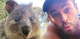 Celebridades fazem doações generosas para ajudar os bombeiros australianos Celebridades fazem doações generosas para ajudar os bombeiros australianos