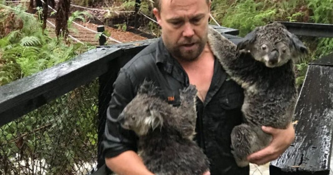 Finalmente chove na Austrália, apagando mais de 30 incêndios