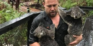 Finalmente chove na Austrália, apagando mais de 30 incêndios Finalmente chove na Austrália, apagando mais de 30 incêndios