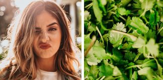 Grupo no facebook cria DIA oficial aos que detestam COENTRO Grupo no facebook cria DIA oficial aos que detestam COENTRO