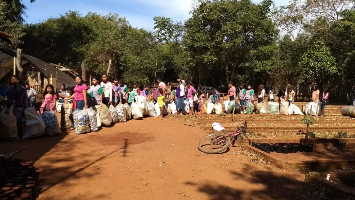 ideiasnutritivas.com - Mercado ecológico na Floresta Amazônica troca materiais recicláveis por alimentos