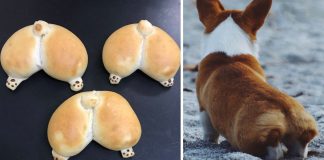 Padaria japonesa faz pães em forma do traseiro fofíssimo de um Corgi! Padaria japonesa faz pães em forma do traseiro fofíssimo de um Corgi!