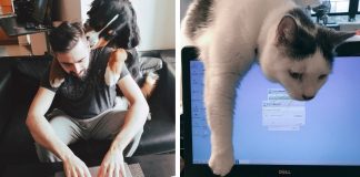 Como é trabalhar em casa quando você tem um pet! Como é trabalhar em casa quando você tem um pet!