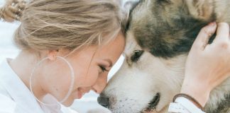 Os Cães nos entendem melhor que as pessoas, confirmam pesquisadores Os Cães nos entendem melhor que as pessoas, confirmam pesquisadores