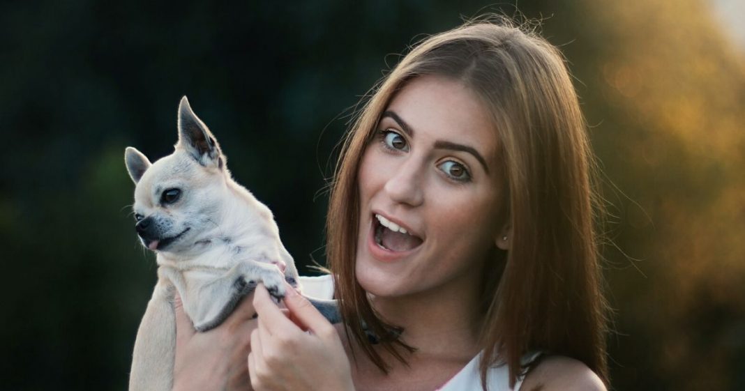 Animais de estimação podem reduzir a solidão durante o isolamento social