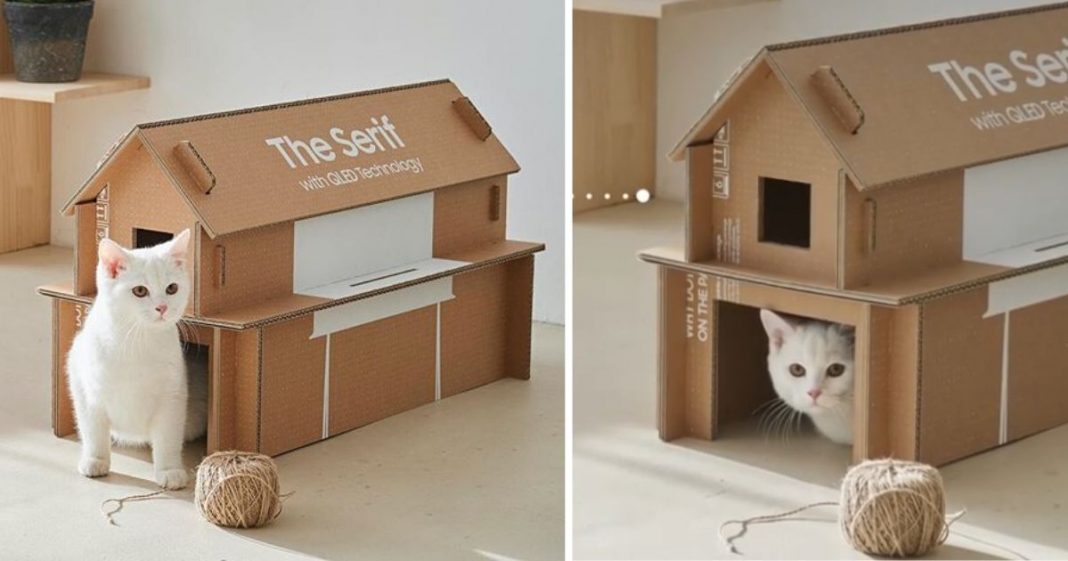 Caixas de TV sustentáveis da Samsung podem se transformar em casinha de gato e outros móveis