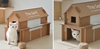 Caixas de TV sustentáveis da Samsung podem se transformar em casinha de gato e outros móveis Caixas de TV sustentáveis da Samsung podem se transformar em casinha de gato e outros móveis