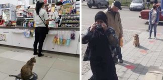 Os animais SIM seguem as regras de distanciamento social! Os animais SIM seguem as regras de distanciamento social!