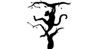 Cérebro direito ou esquerdo? O animal que ver primeiro diz muito sobre você! Cérebro direito ou esquerdo? O animal que ver primeiro diz muito sobre você!