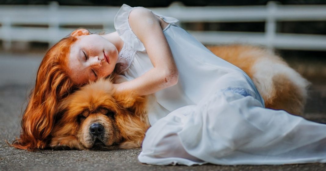 PERDER UM CACHORRO PODE SER TÃO DIFÍCIL QUANTO PERDER UM ENTE QUERIDO