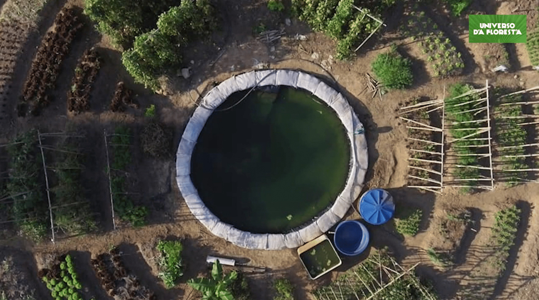 ideiasnutritivas.com - Campo de futebol vira horta org&acirc;nica para alimentar mais de mil fam&iacute;lias