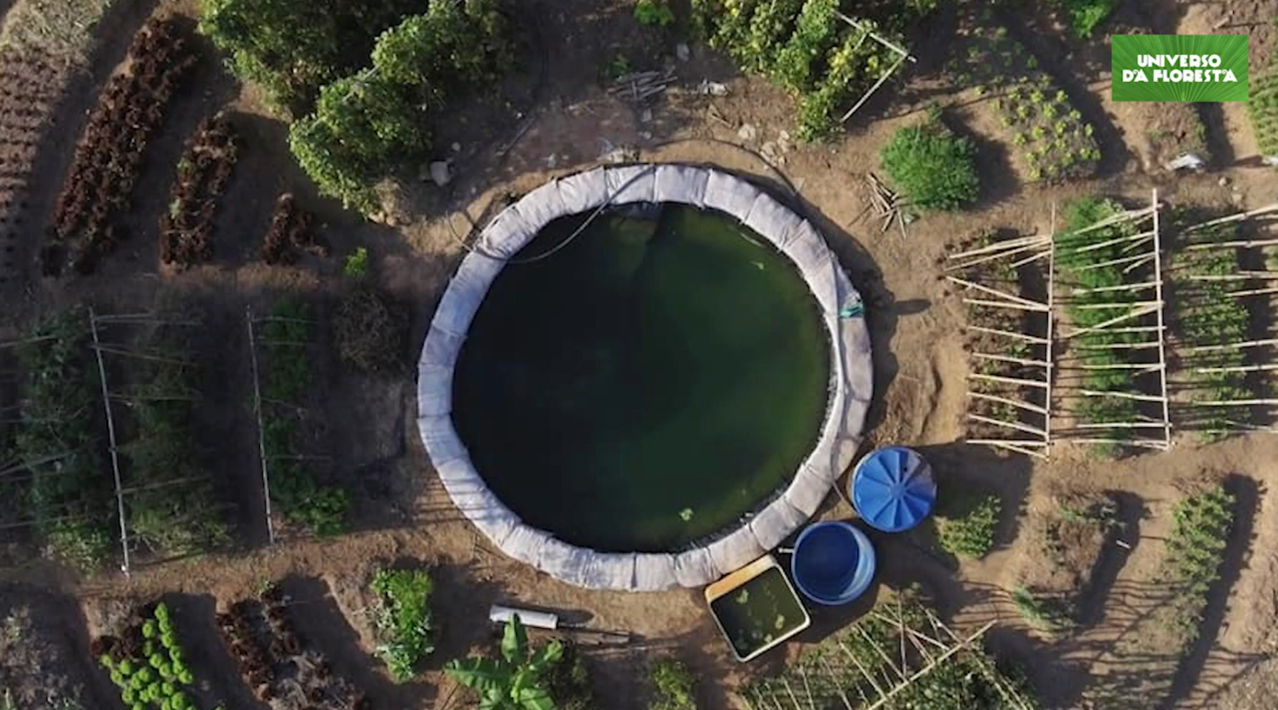 Campo de futebol vira horta orgânica para alimentar mais de mil famílias ideiasnutritivas.com - Campo de futebol vira horta orgânica para alimentar mais de mil famílias