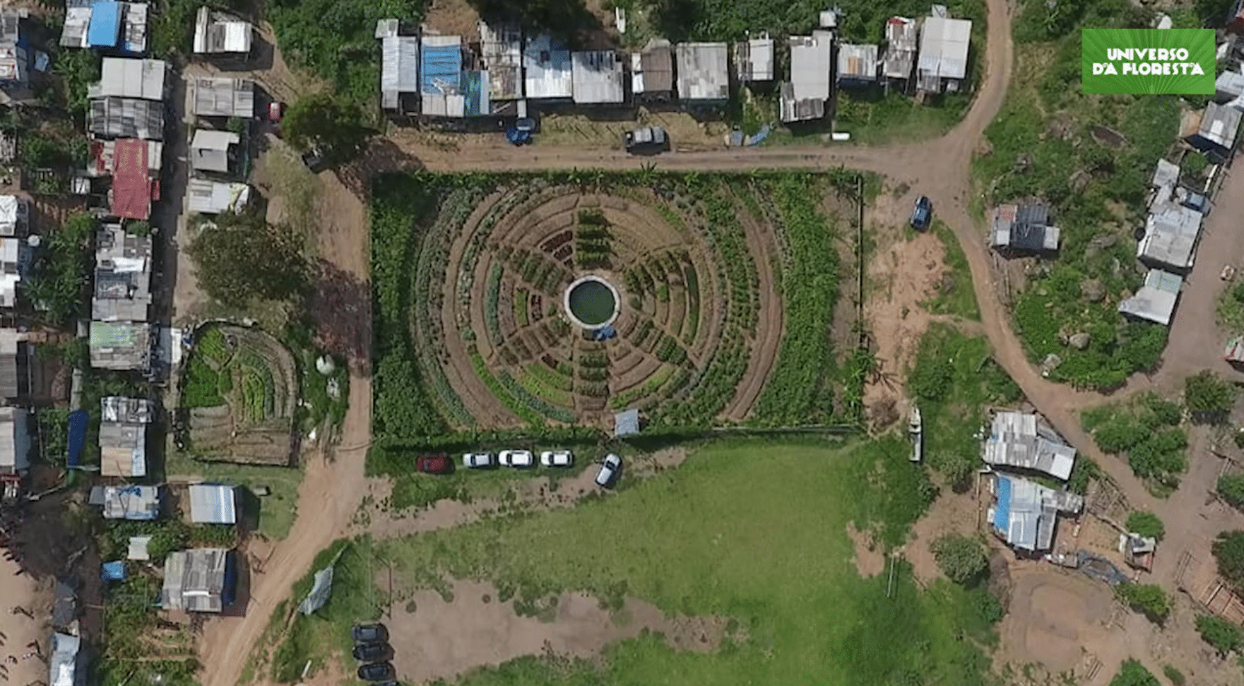 ideiasnutritivas.com - Campo de futebol vira horta org&acirc;nica para alimentar mais de mil fam&iacute;lias
