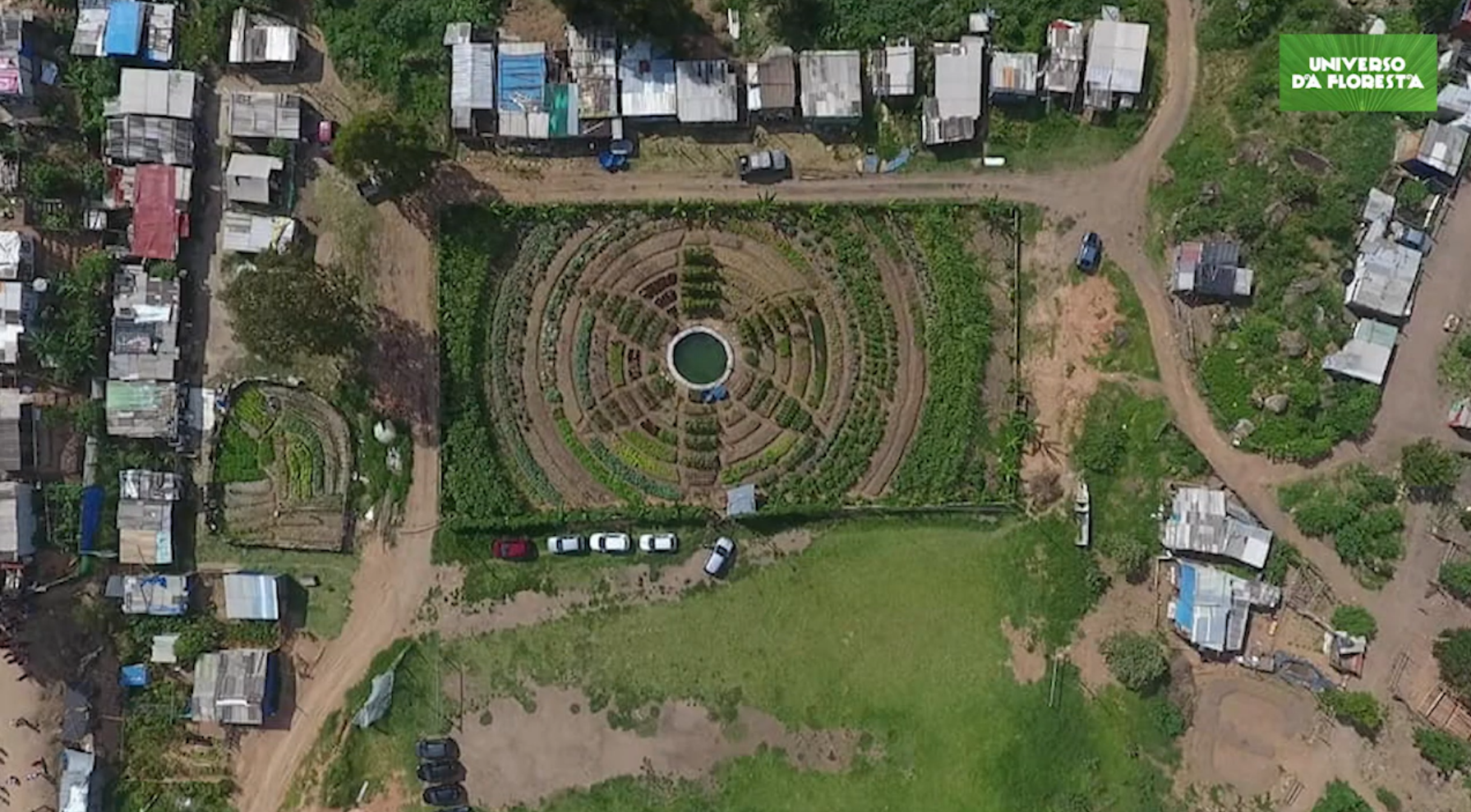 Campo de futebol vira horta orgânica para alimentar mais de mil famílias ideiasnutritivas.com - Campo de futebol vira horta orgânica para alimentar mais de mil famílias