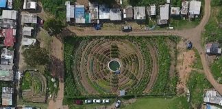 Campo de futebol vira horta orgânica para alimentar mais de mil famílias Campo de futebol vira horta orgânica para alimentar mais de mil famílias