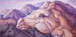 Teste de personalidade: o número de cavalos que você vê lhe dirá grandes verdades Teste de personalidade: o número de cavalos que você vê lhe dirá grandes verdades