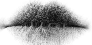 TESTE MENTAL: Saiba mais sobre sua personalidade TESTE MENTAL: Saiba mais sobre sua personalidade