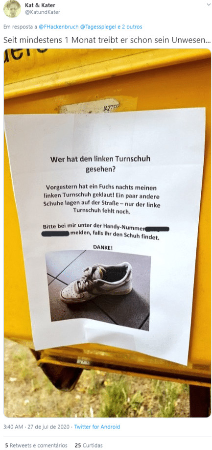 ideiasnutritivas.com - Raposa &eacute; flagrada com cole&ccedil;&atilde;o de mais de 100 Crocs &lsquo;roubados&rsquo;
