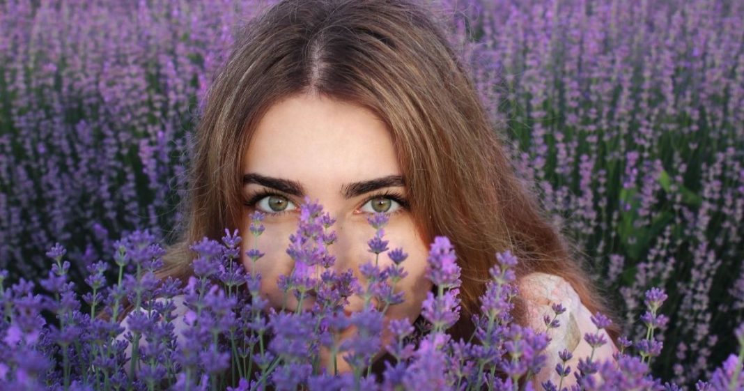 Limonada de lavanda ajuda a aliviar ansiedade e dores de cabeça de forma natural