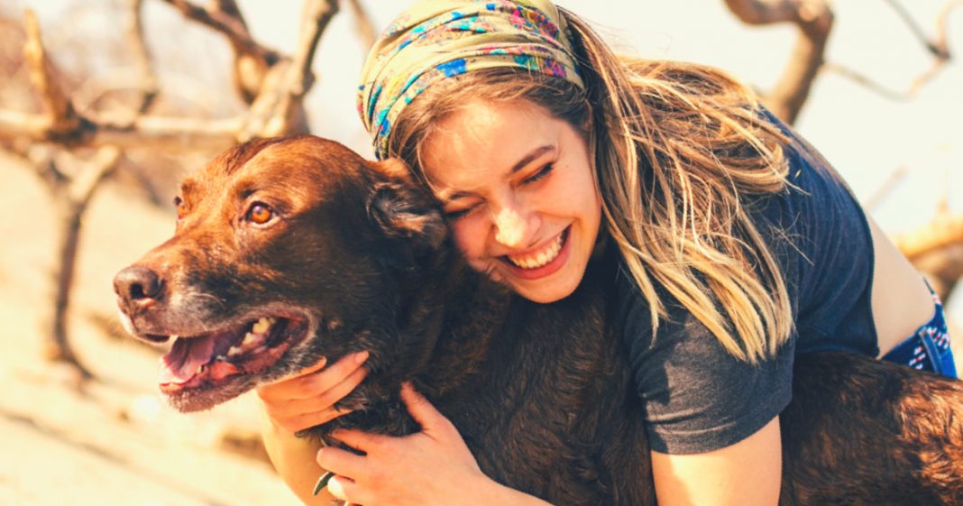 Donos de cães são mais felizes que donos de gatos, diz a ciência