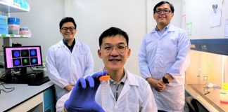 Cientistas desenvolvem ‘Cavalo de Tróia’ que mata células cancerosas sem o uso de drogas Cientistas desenvolvem ‘Cavalo de Tróia’ que mata células cancerosas sem o uso de drogas