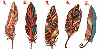 Teste de personalidade: a pena que você escolher revela qual é o seu poder interior Teste de personalidade: a pena que você escolher revela qual é o seu poder interior