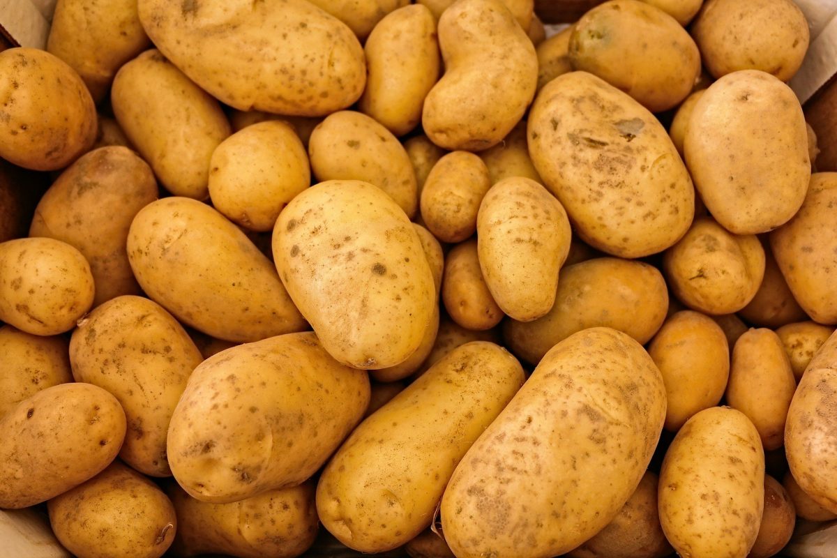 Truques simples para fazer com que os alimentos durem mais tempo ideiasnutritivas.com - Truques simples para fazer com que os alimentos durem mais tempo