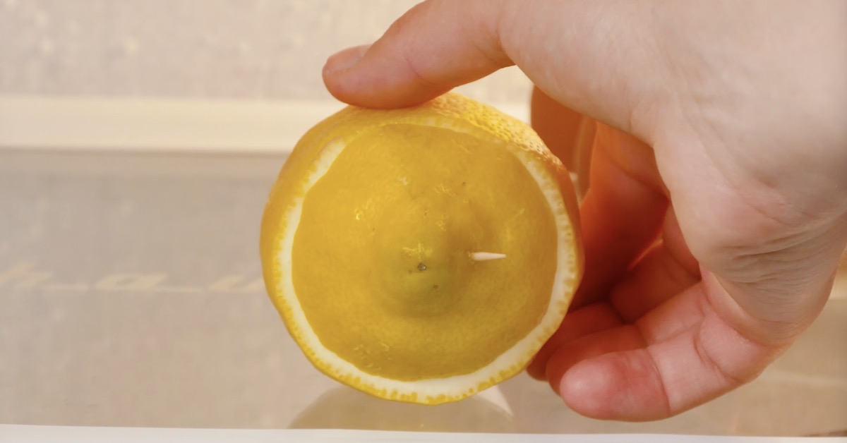 Truques simples para fazer com que os alimentos durem mais tempo ideiasnutritivas.com - Truques simples para fazer com que os alimentos durem mais tempo