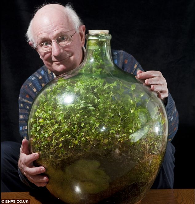 Homem cultiva jardim em garrafa, que está vivo e verde sem receber água desde 1972 ideiasnutritivas.com - Homem cultiva jardim em garrafa, que está vivo e verde sem receber água desde 1972