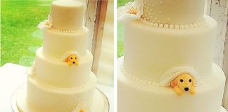 Casais que amam cachorros encontraram maneira de incluir seus pets no casamento: NO BOLO! Casais que amam cachorros encontraram maneira de incluir seus pets no casamento: NO BOLO!