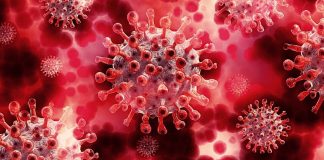 Medicamento pode impedir que infectados pelo coronavírus tenham sintomas Medicamento pode impedir que infectados pelo coronavírus tenham sintomas