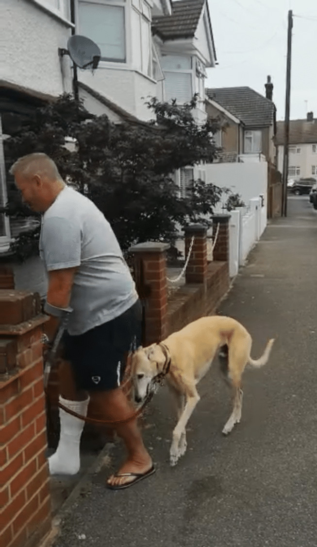 ideiasnutritivas.com - Dono de c&atilde;ozinho machucado gasta R$ 2.200 para descobrir que o pet estava imitando-o por solidariedade