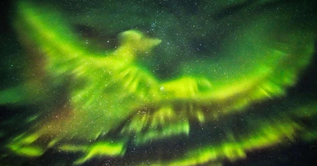 A aurora boreal forma uma fênix nos céus da Islândia que parece nos enviar uma mensagem