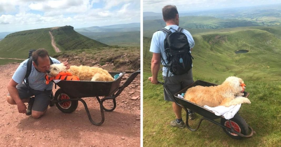 Homem leva seu cão doente em um carrinho de mão até sua montanha favorita para “uma última aventura”