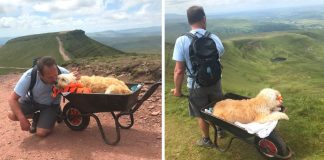 Homem leva seu cão doente em um carrinho de mão até sua montanha favorita para “uma última aventura” Homem leva seu cão doente em um carrinho de mão até sua montanha favorita para “uma última aventura”