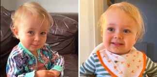 ‘Não vê TV nem celular’: menina de 2 anos falando palavras difíceis viralizou nas redes sociais ‘Não vê TV nem celular’: menina de 2 anos falando palavras difíceis viralizou nas redes sociais