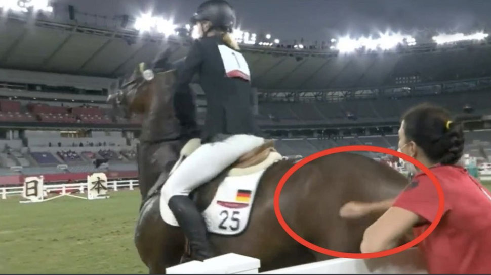 cavalo - Atriz Kaley Cuoco quer comprar cavalo maltratado nas Olimpíadas: "Diga-me um preço"