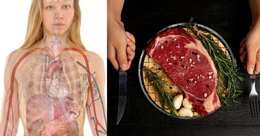 O que acontece com seu corpo quando você para de comer carne vermelha