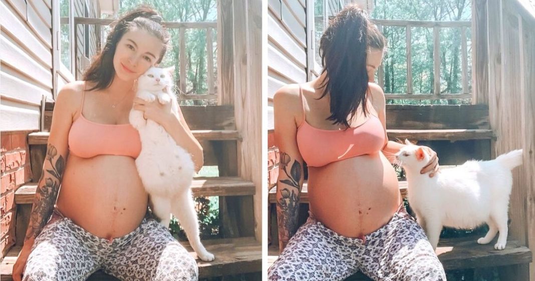 Mulher grávida e gata dão à luz ao mesmo tempo depois de resgatar a gata prenha abandonada