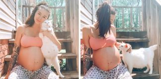 Mulher grávida e gata dão à luz ao mesmo tempo depois de resgatar a gata prenha abandonada Mulher grávida e gata dão à luz ao mesmo tempo depois de resgatar a gata prenha abandonada