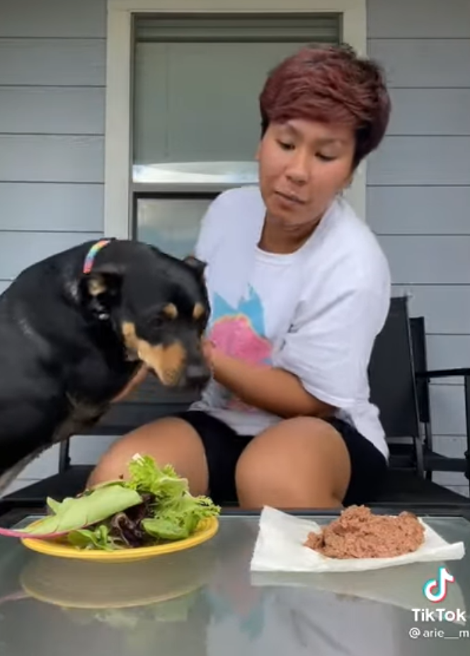 ideiasnutritivas.com - Mulher tenta mostrar que sua cadelinha é vegetariana “por opção” com um pequeno desafio
