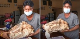 Pesca milagrosa: vômito de baleia encontrado no mar da Tailândia vale uma fortuna Pesca milagrosa: vômito de baleia encontrado no mar da Tailândia vale uma fortuna