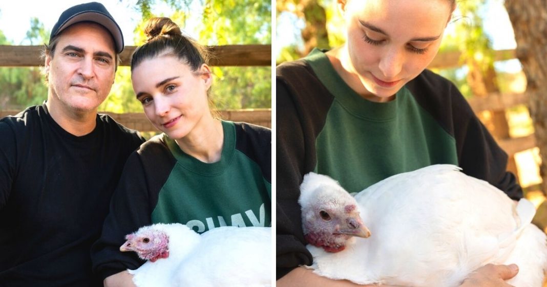 “Adote um peru em vez de comê-lo”: Joaquin Phoenix e Rooney Mara pedem festas sem crueldade
