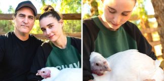 “Adote um peru em vez de comê-lo”: Joaquin Phoenix e Rooney Mara pedem festas sem crueldade “Adote um peru em vez de comê-lo”: Joaquin Phoenix e Rooney Mara pedem festas sem crueldade
