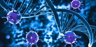 Mulher “cura” HIV sem tratamento dando nova esperança aos cientistas Mulher “cura” HIV sem tratamento dando nova esperança aos cientistas