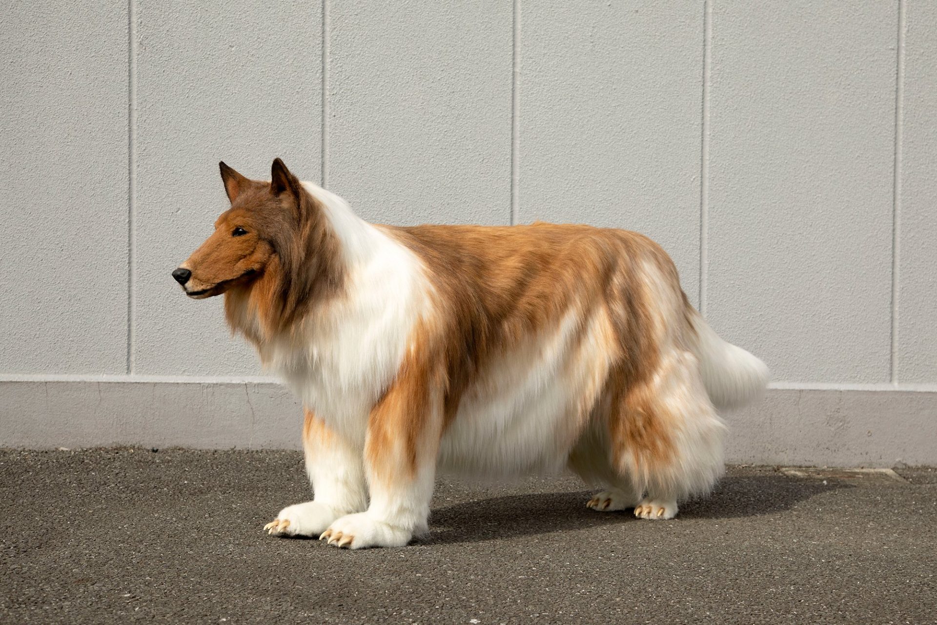 Japonês gastou cerca de 71 mil Reais para realizar o sonho de se “transformar” em cachorro japones gastou cerca de 71 mil reais para realizar o sonho de se transformar em cachorro 2 - Japonês gastou cerca de 71 mil Reais para realizar o sonho de se “transformar” em cachorro
