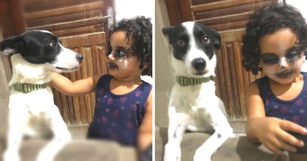 Menina de 3 anos é flagrada se maquiando para parecer o cachorro da casa: é seu melhor amigo