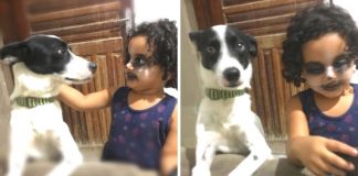 Menina de 3 anos é flagrada se maquiando para parecer o cachorro da casa: é seu melhor amigo Menina de 3 anos é flagrada se maquiando para parecer o cachorro da casa: é seu melhor amigo